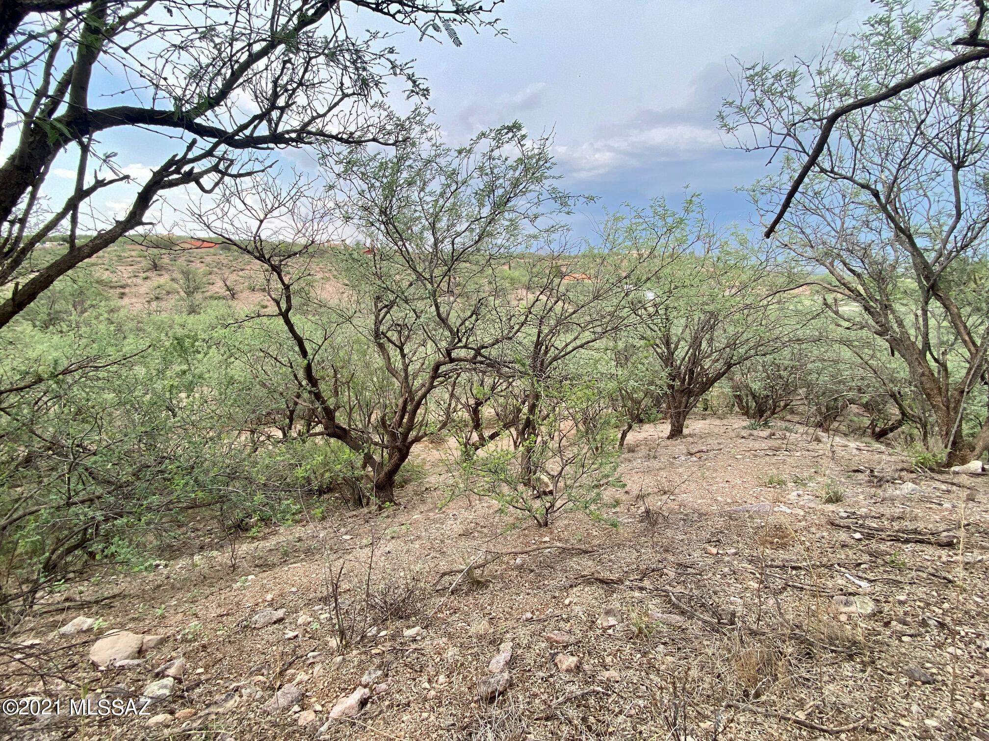 987 Alegre Corte, Unit 7 Rio Rico, AZ 85648 - Photo 1 of 4