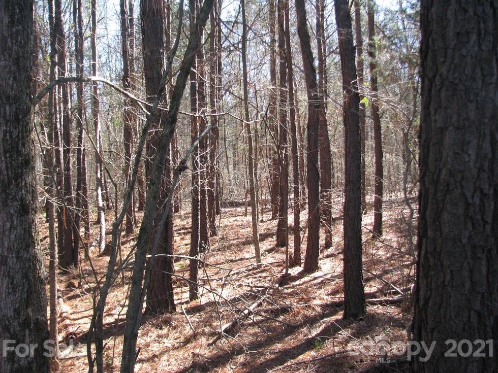66 Bridgewater Road Rock Hill, SC 29730 - Photo 5 of 11 Gallery Image 5