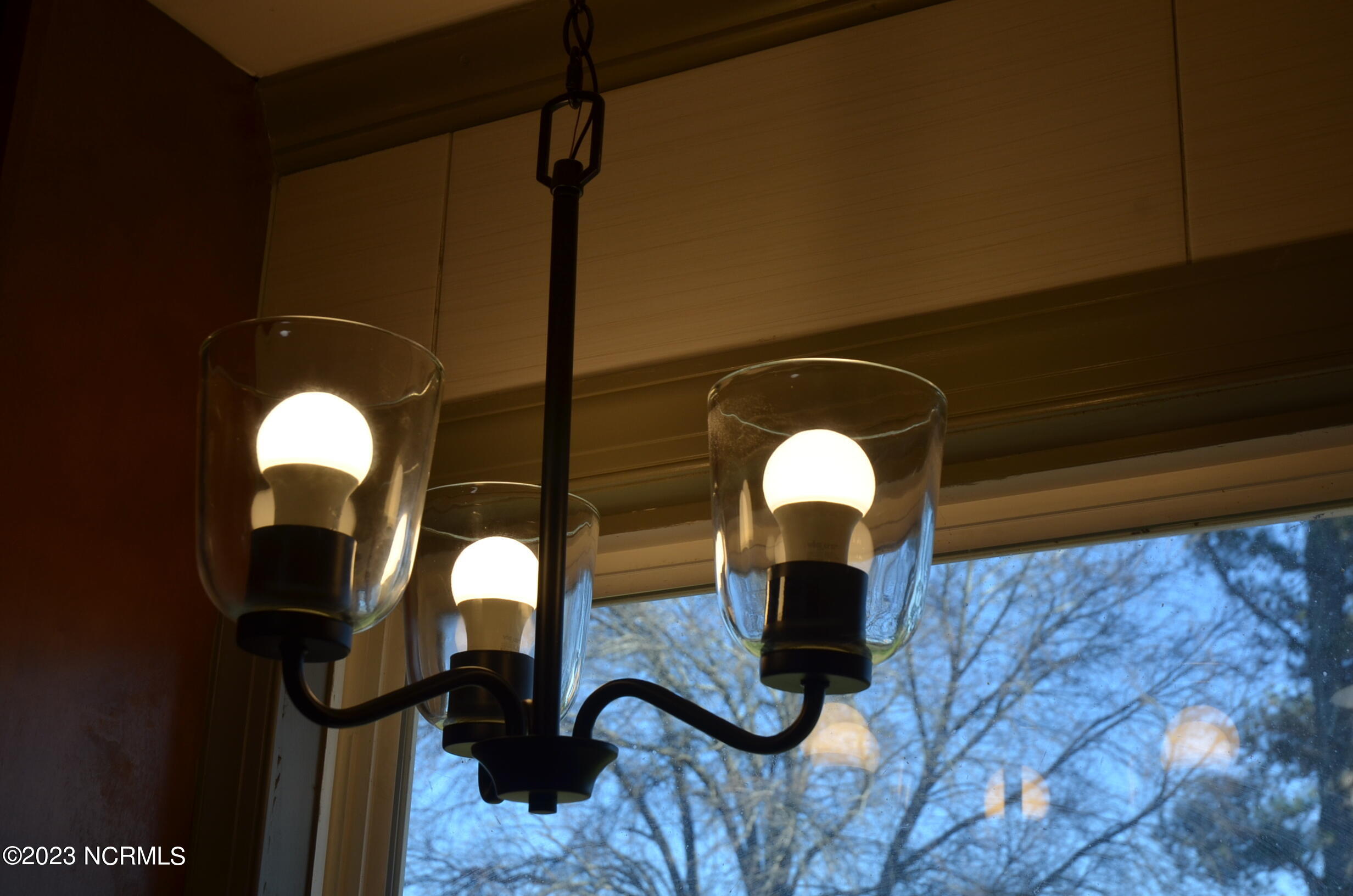 6759 Good News Church Road Stantonsburg, NC 27883 - Photo 11 of 54 Nice light fixture above sink