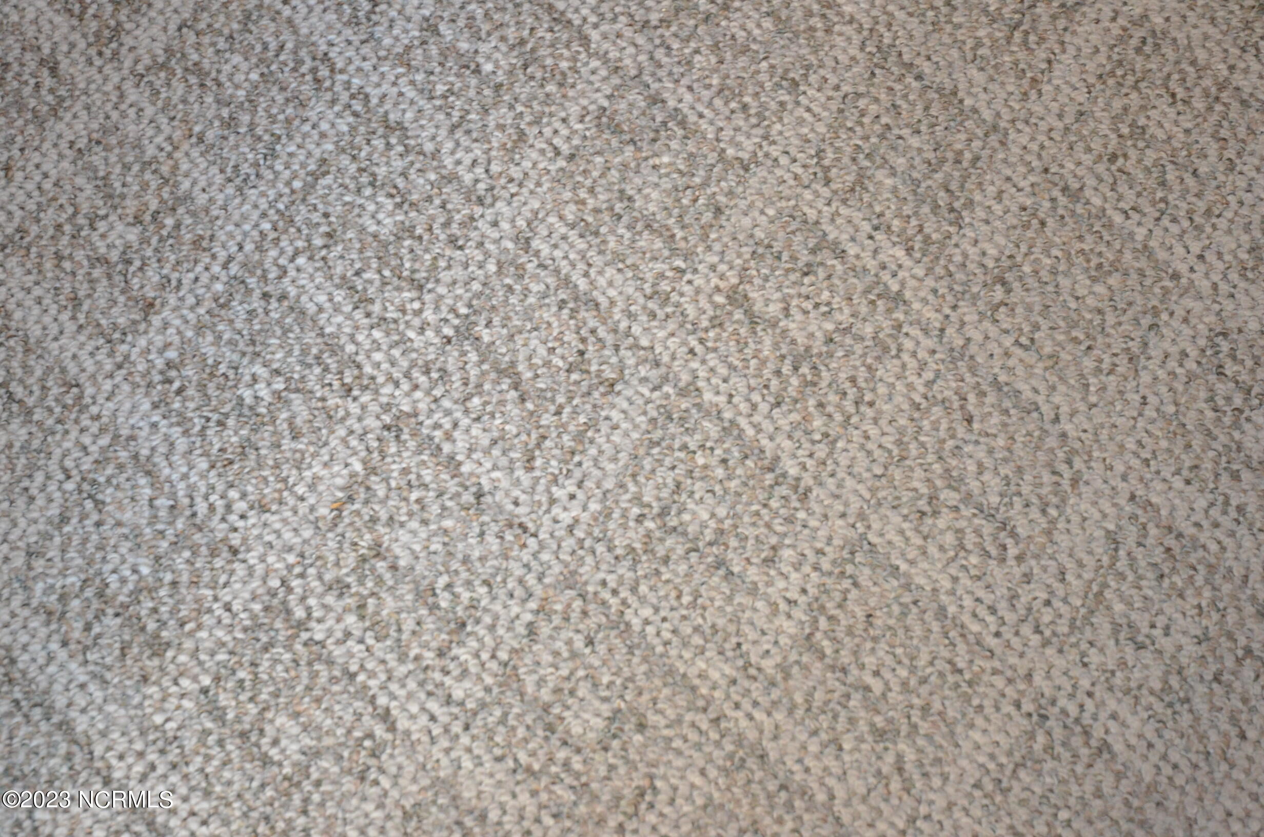 6759 Good News Church Road Stantonsburg, NC 27883 - Photo 33 of 54 Carpet in Primary Bedroom