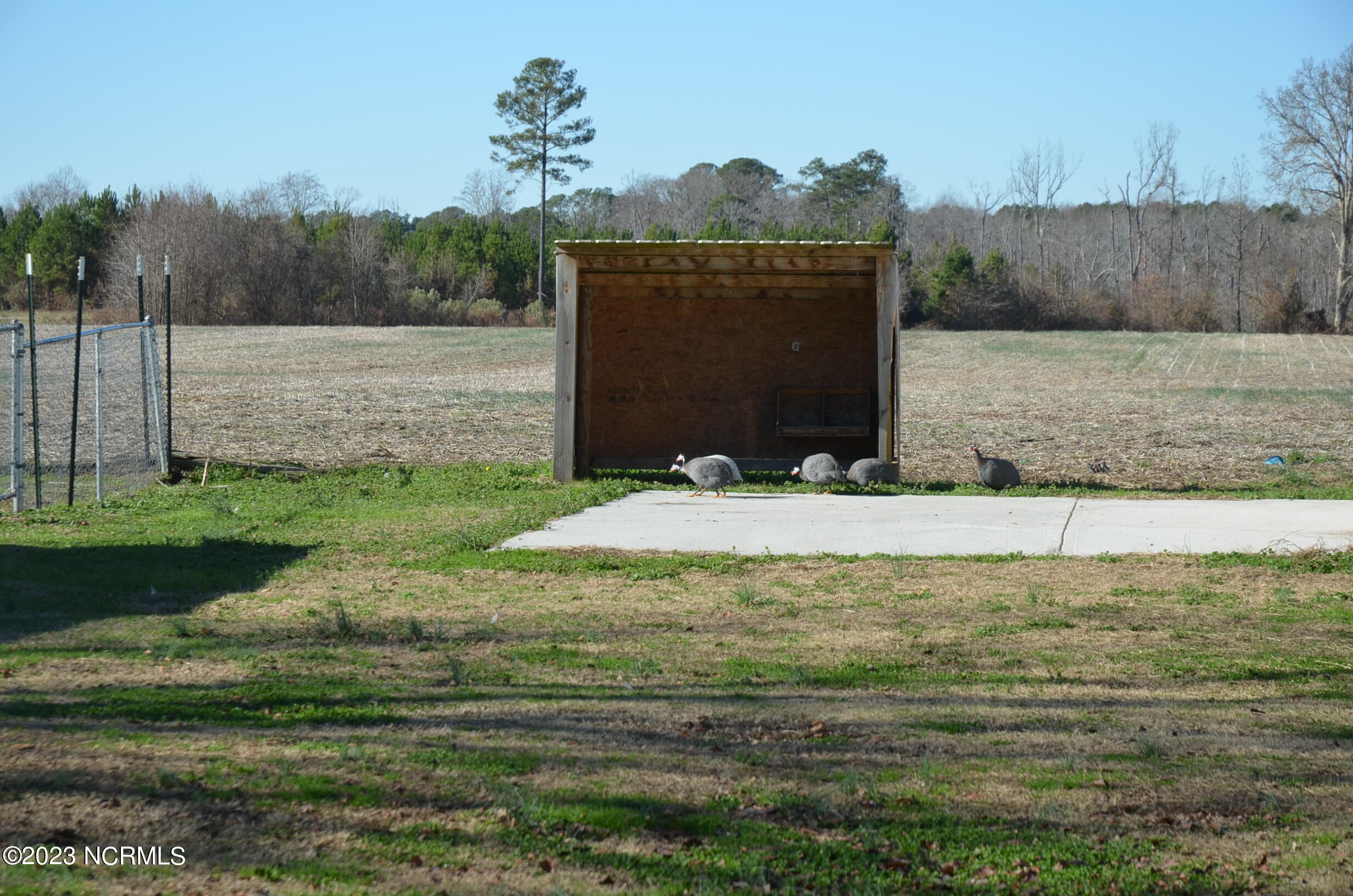 6759 Good News Church Road Stantonsburg, NC 27883 - Photo 45 of 54 Animal shelter showing wild guinea hens