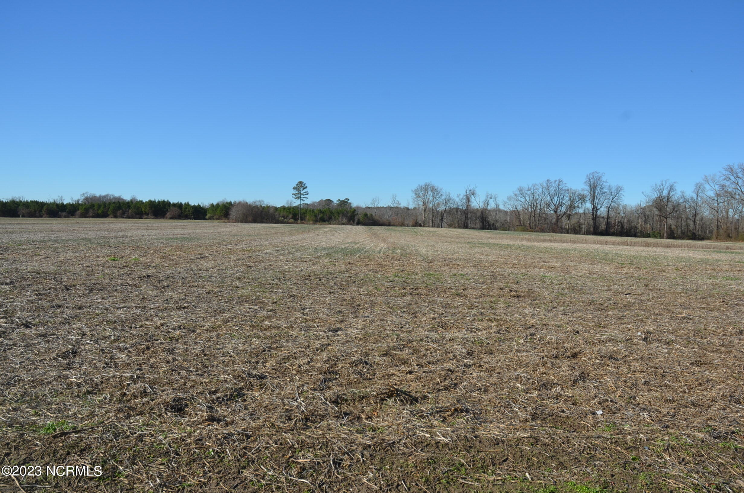 6759 Good News Church Road Stantonsburg, NC 27883 - Photo 54 of 54 Behind the home neighbor---best kind to have~!