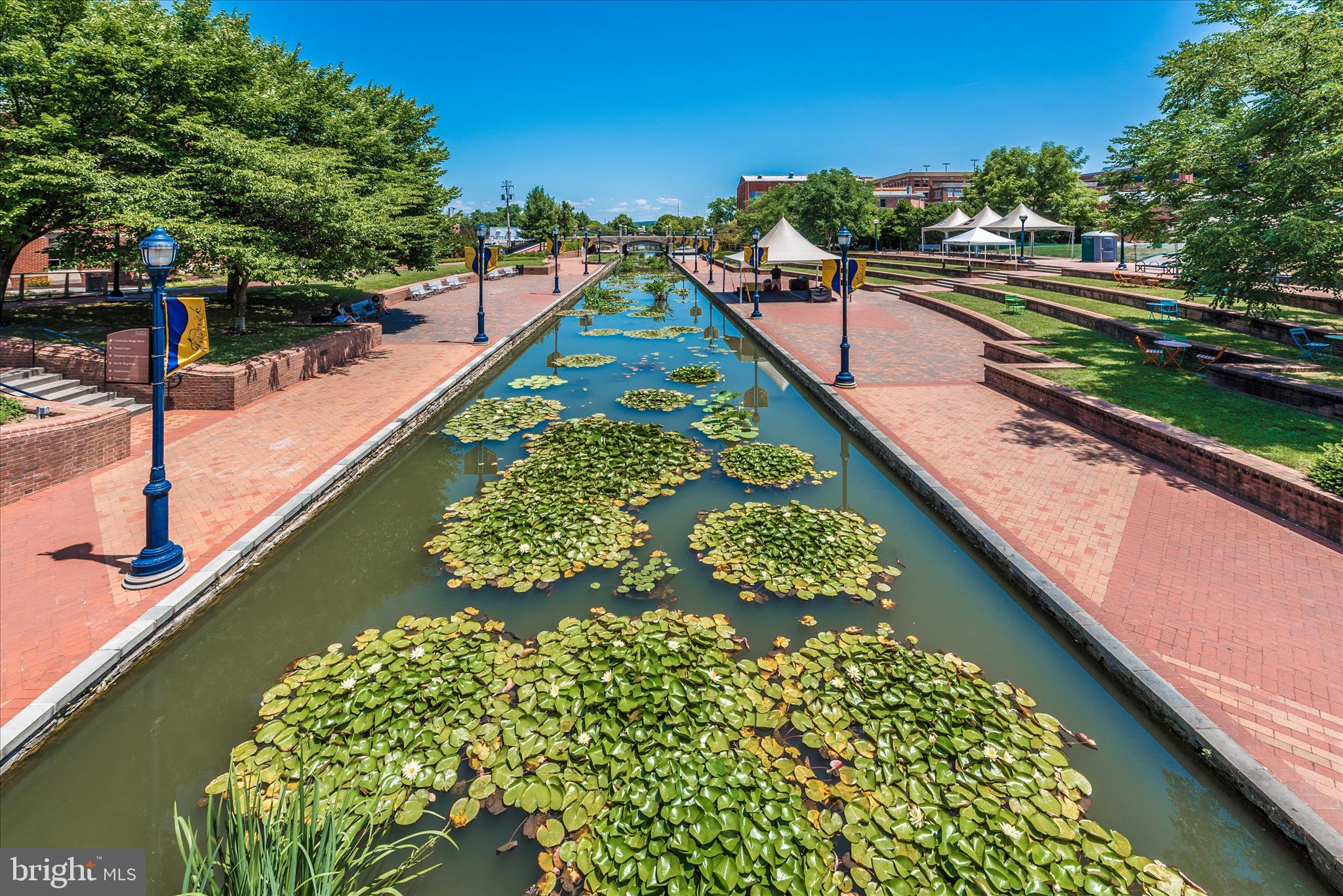 35 East All Saints Street, Unit 211 Frederick, MD 21701 - Photo 59 of 61 Summer on Carroll Creek.
