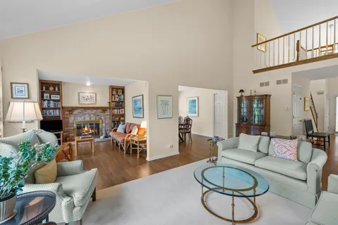 a living room with furniture a dining table and a potted plant