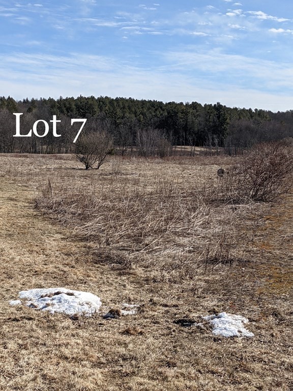 40 Adams Road Grafton, MA 01519 - Photo 4 of 5 Gallery Image 4