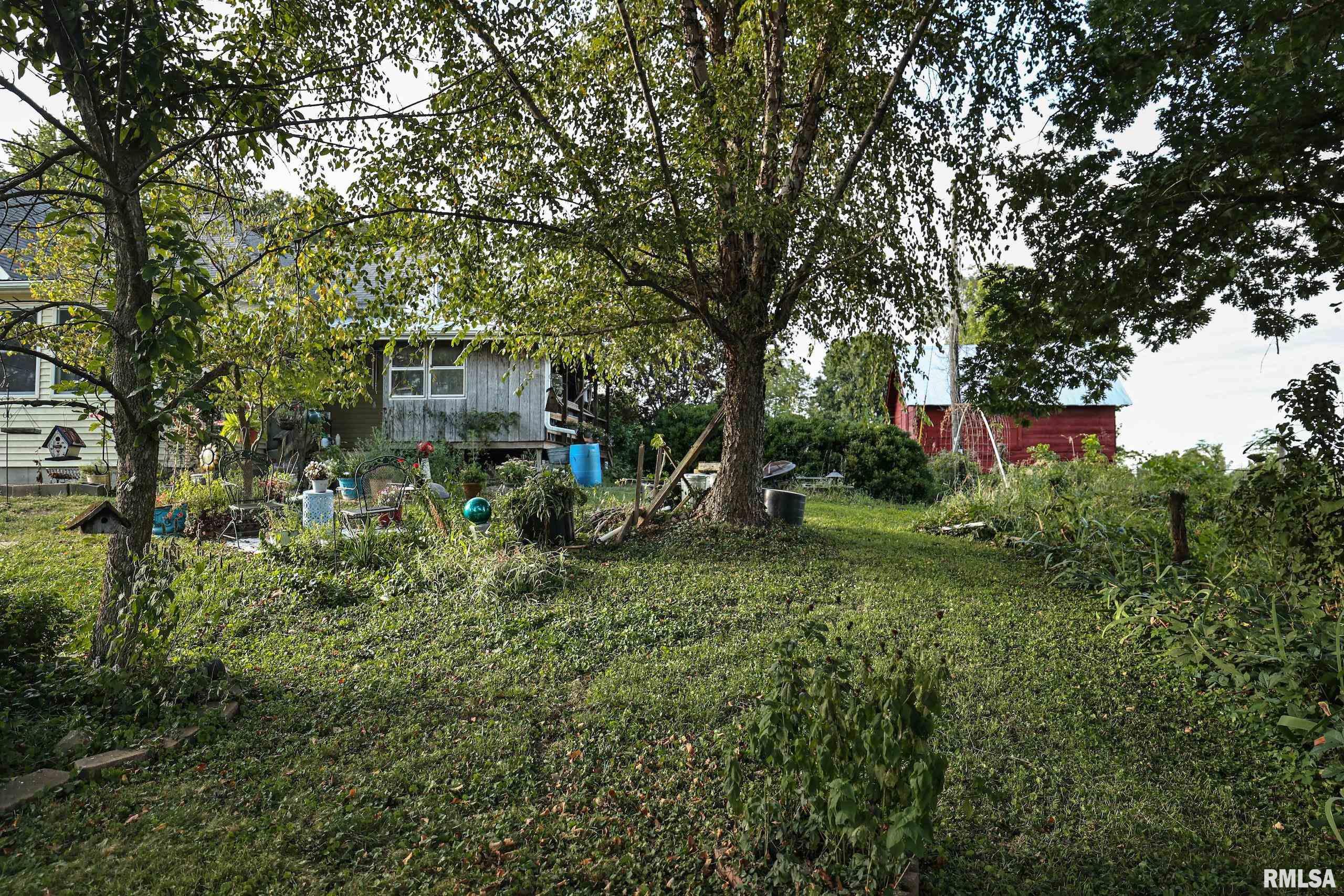 21044 435th Street Pittsfield, IL 62363 - Photo 11 of 55