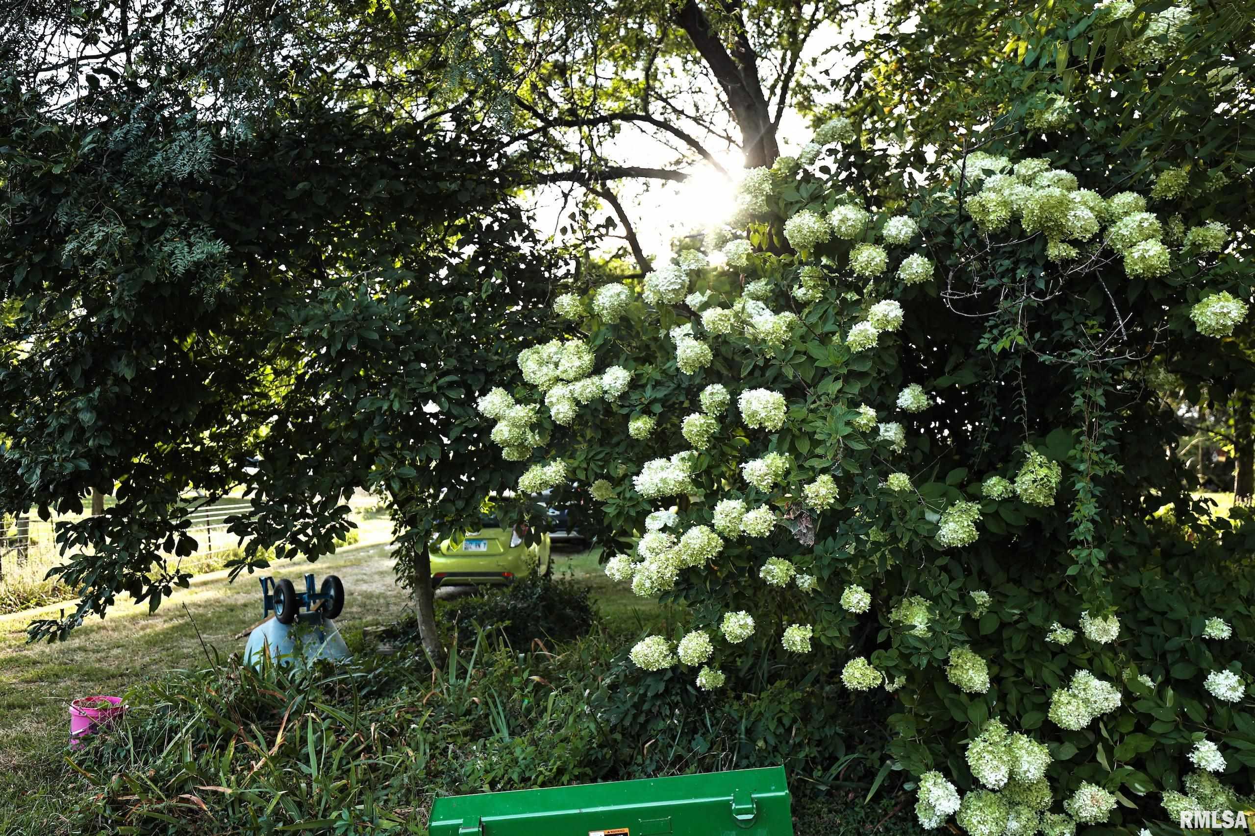 21044 435th Street Pittsfield, IL 62363 - Photo 26 of 55