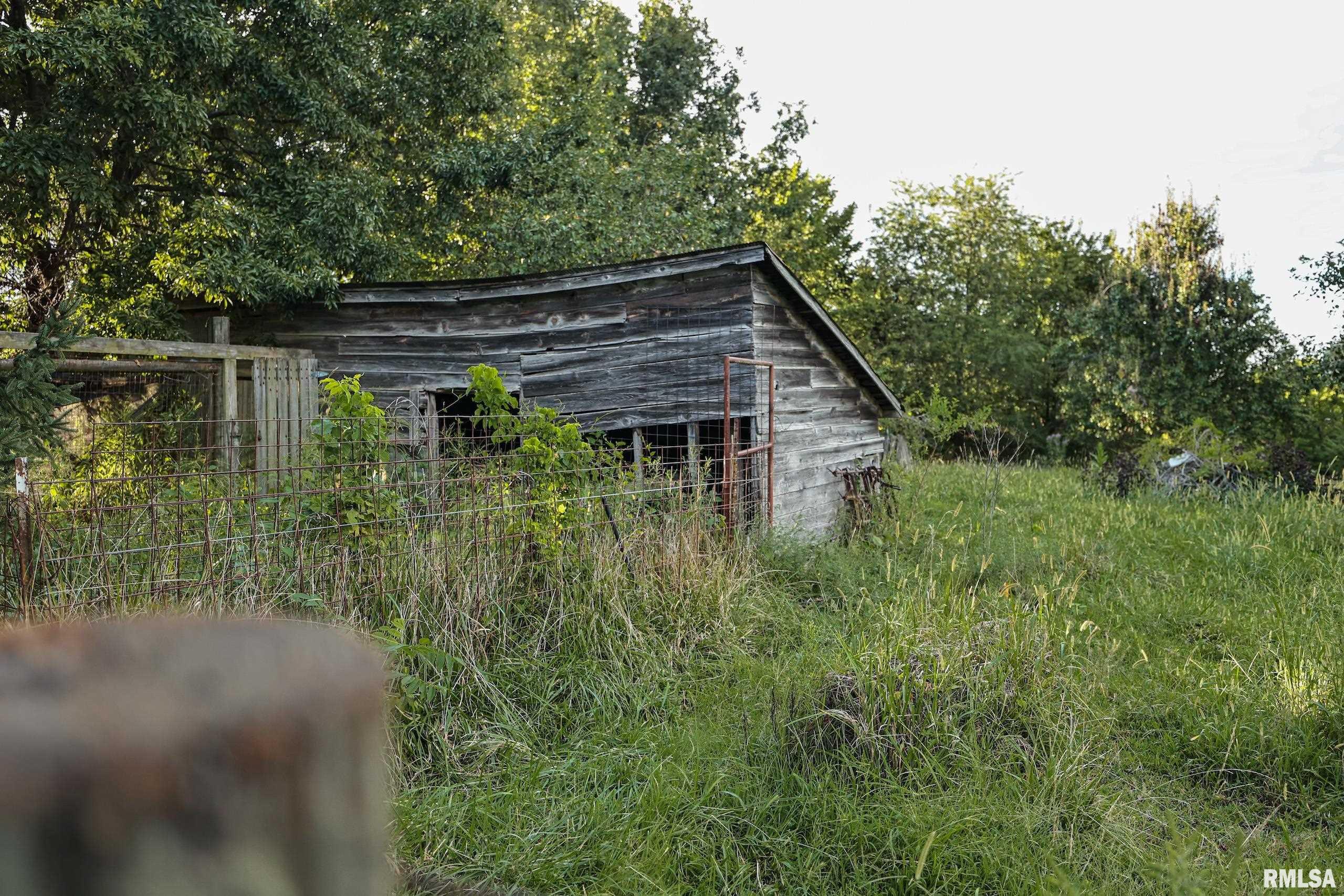 21044 435th Street Pittsfield, IL 62363 - Photo 30 of 55