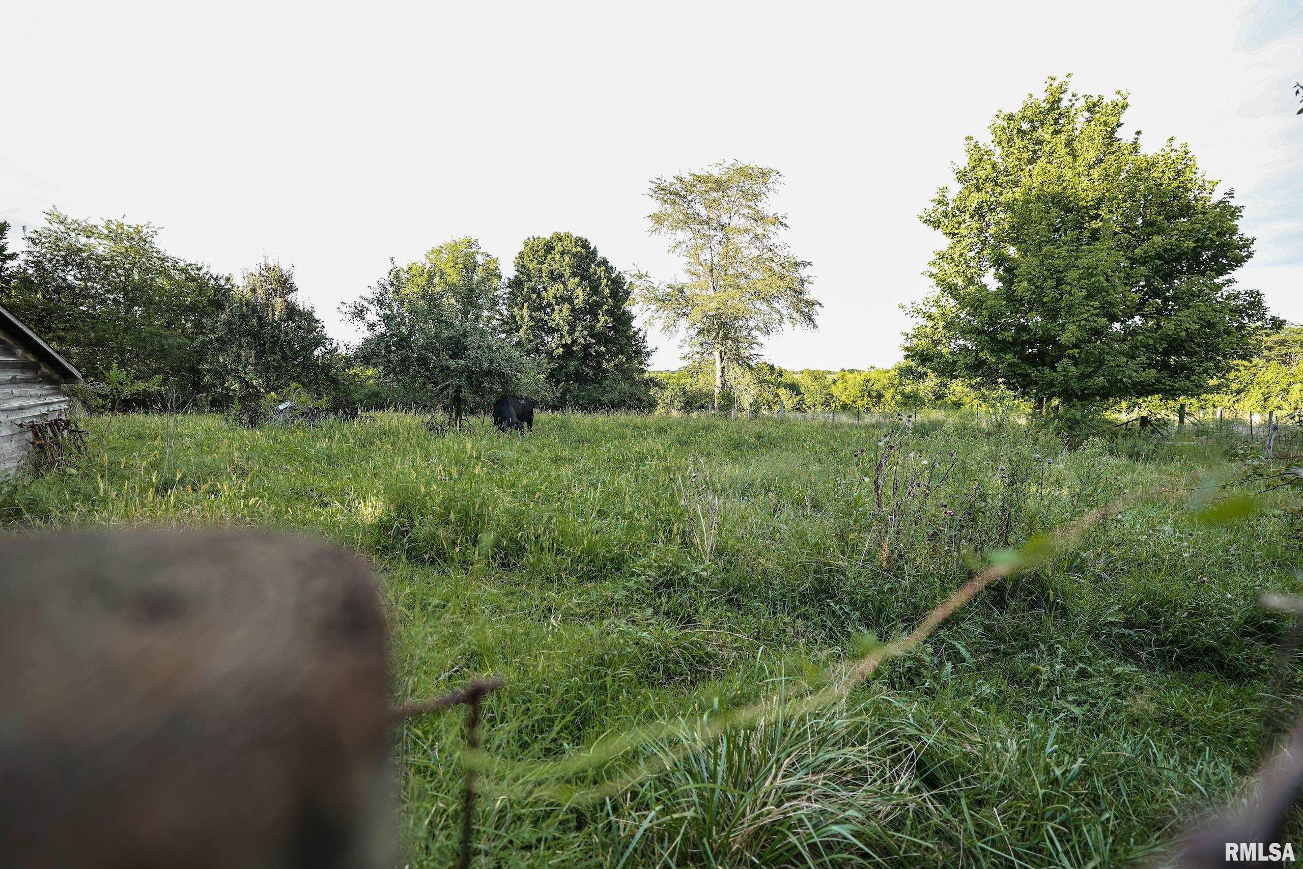 21044 435th Street Pittsfield, IL 62363 - Photo 31 of 55
