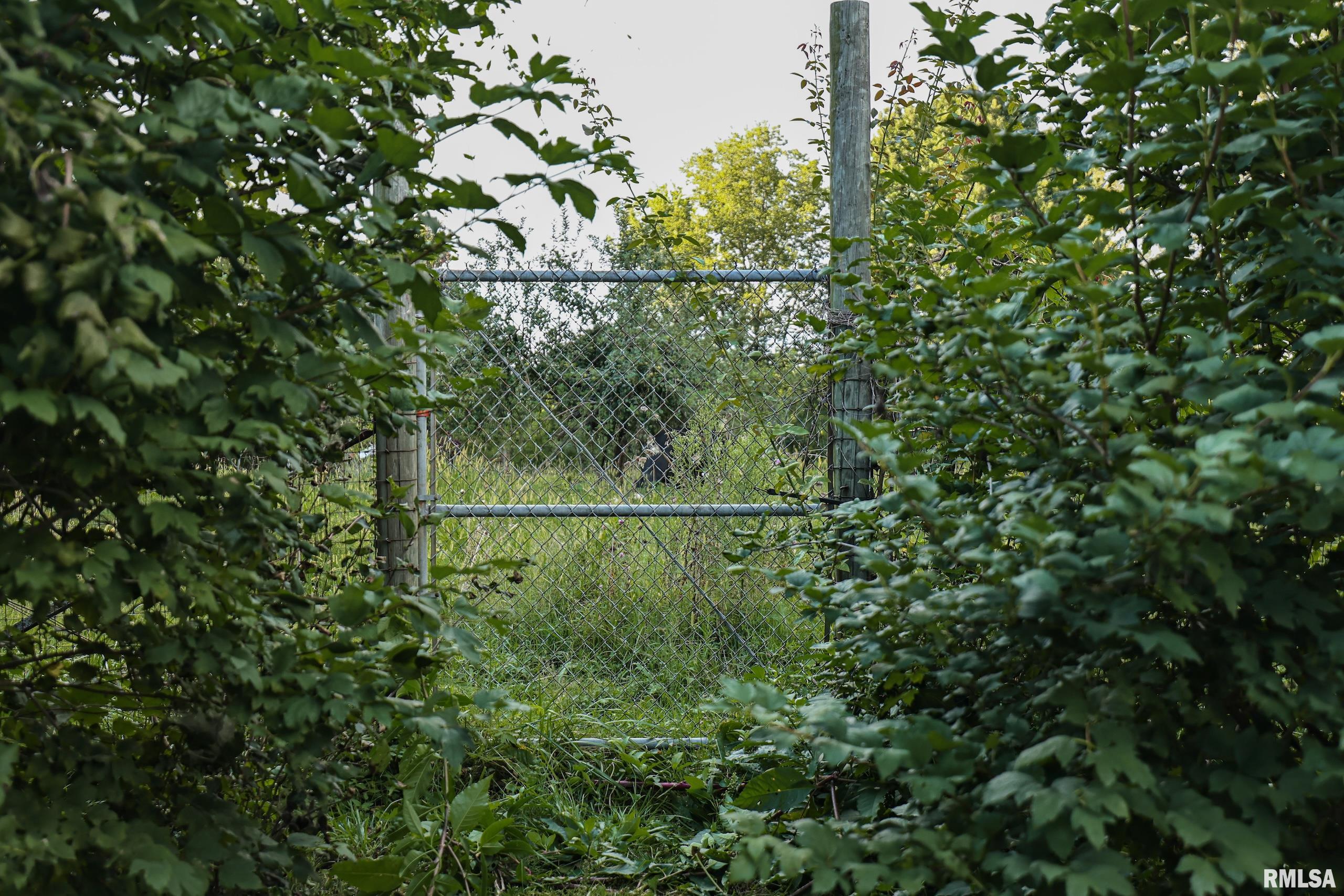 21044 435th Street Pittsfield, IL 62363 - Photo 33 of 55