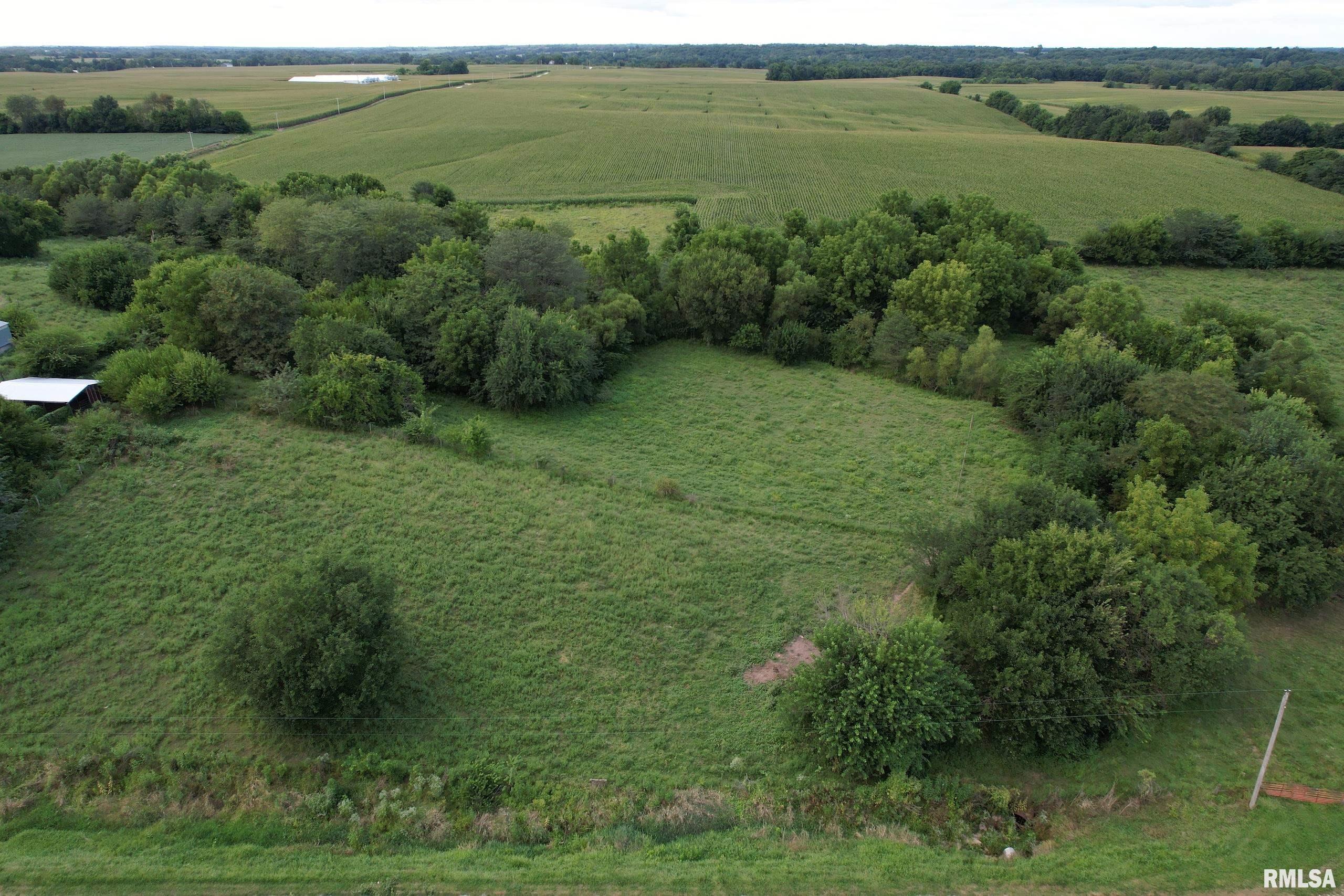21044 435th Street Pittsfield, IL 62363 - Photo 45 of 55