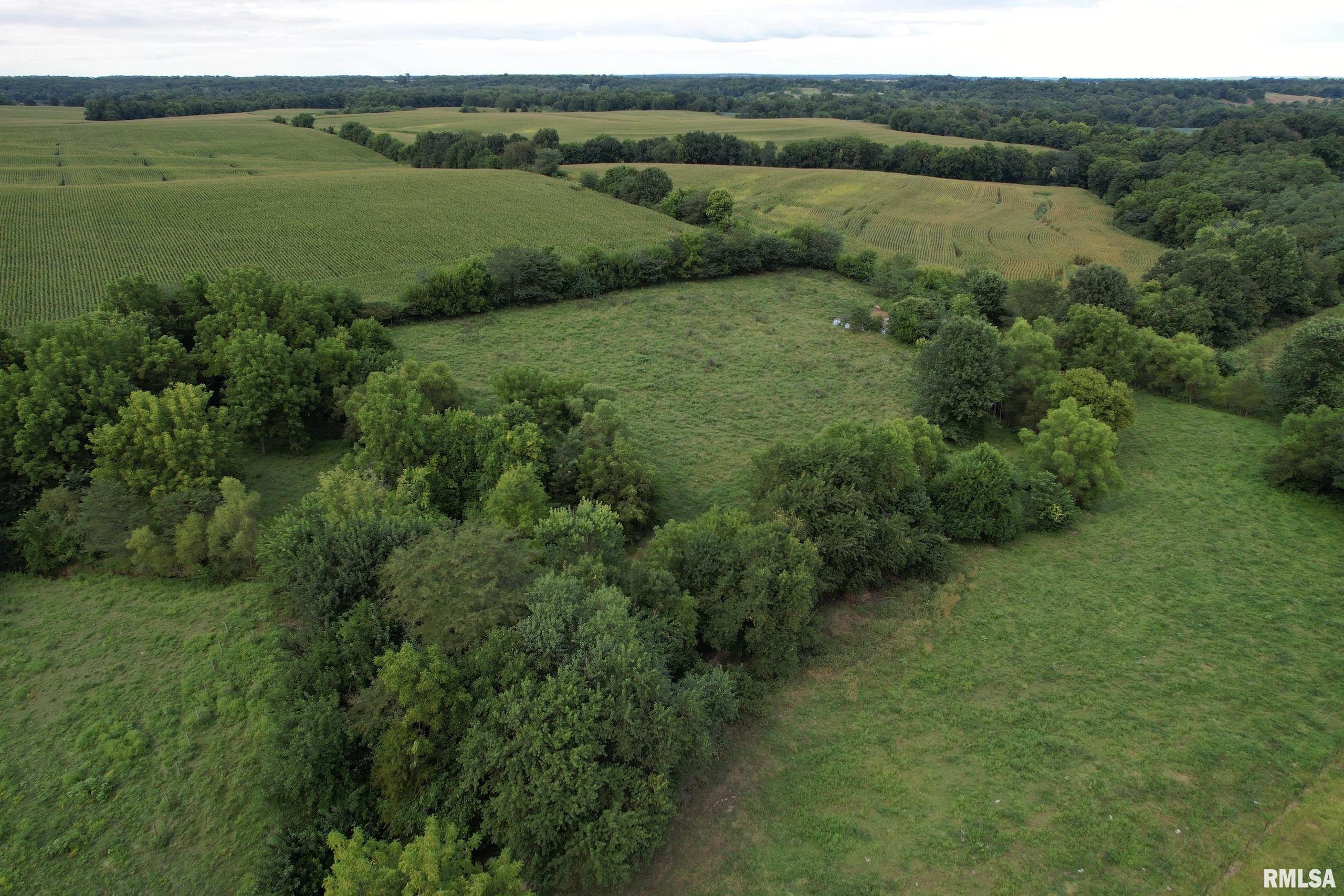 21044 435th Street Pittsfield, IL 62363 - Photo 46 of 55