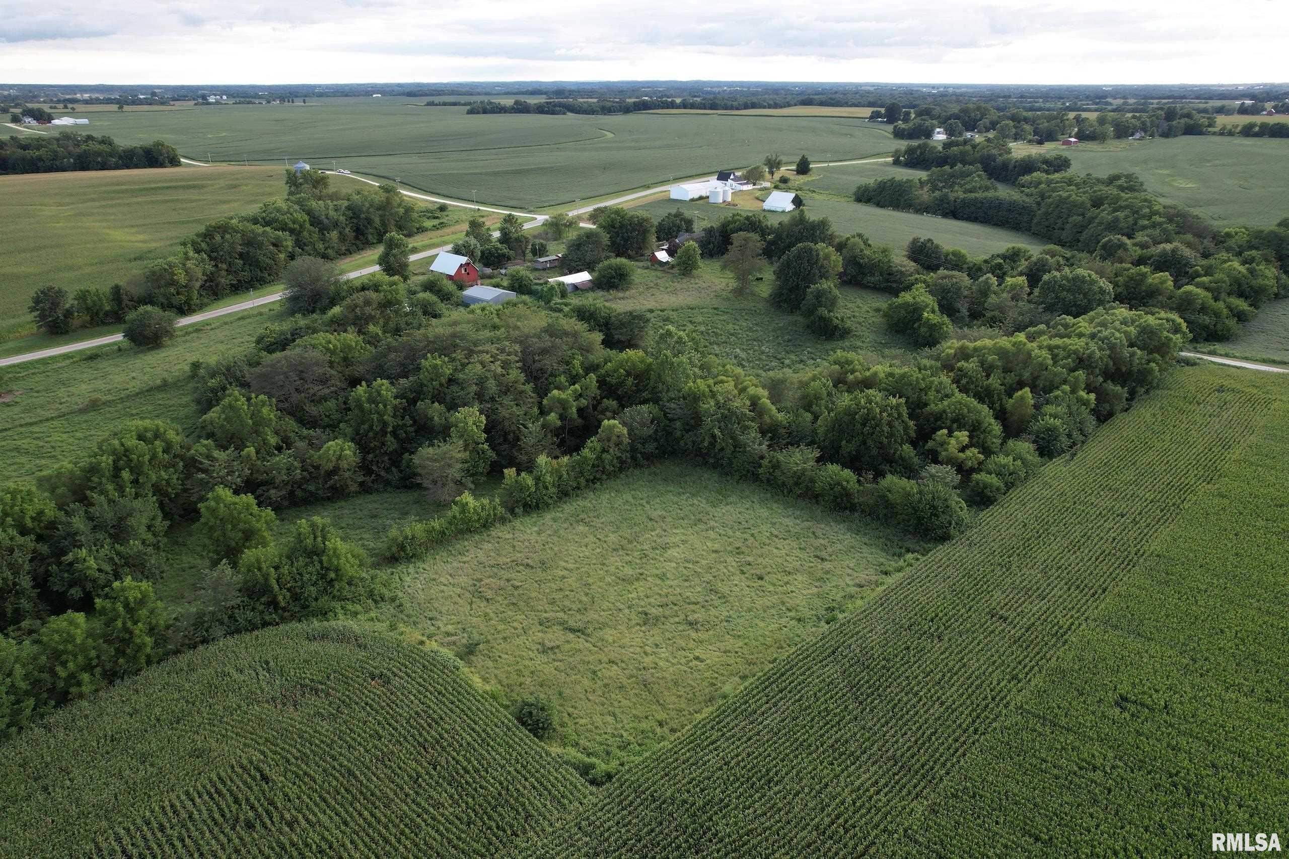 21044 435th Street Pittsfield, IL 62363 - Photo 52 of 55
