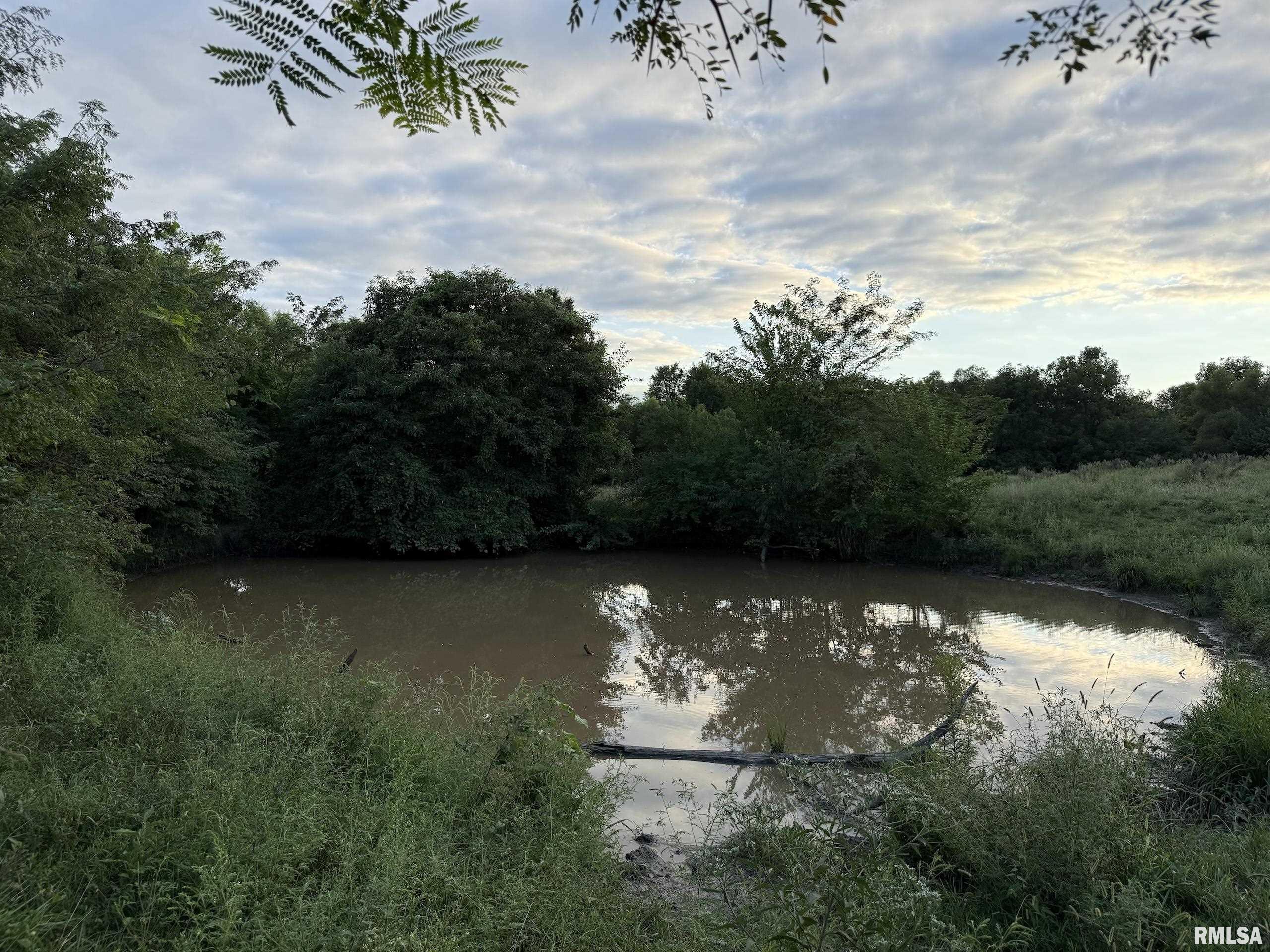 21044 435th Street Pittsfield, IL 62363 - Photo 54 of 55