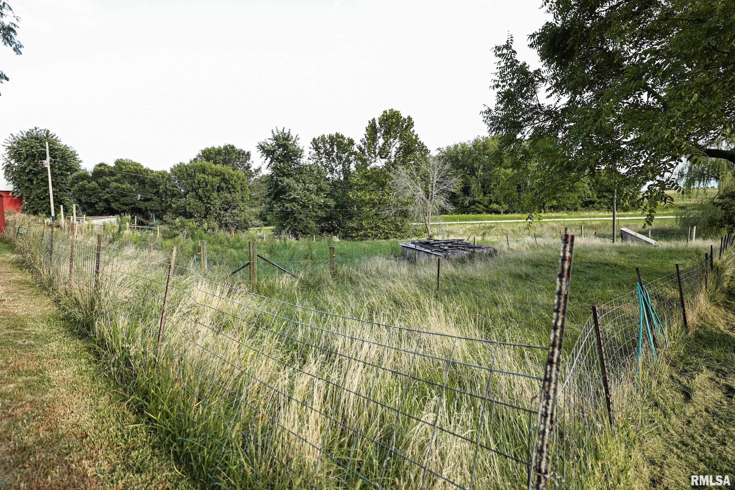 21044 435th Street Pittsfield, IL 62363 - Photo 6 of 55