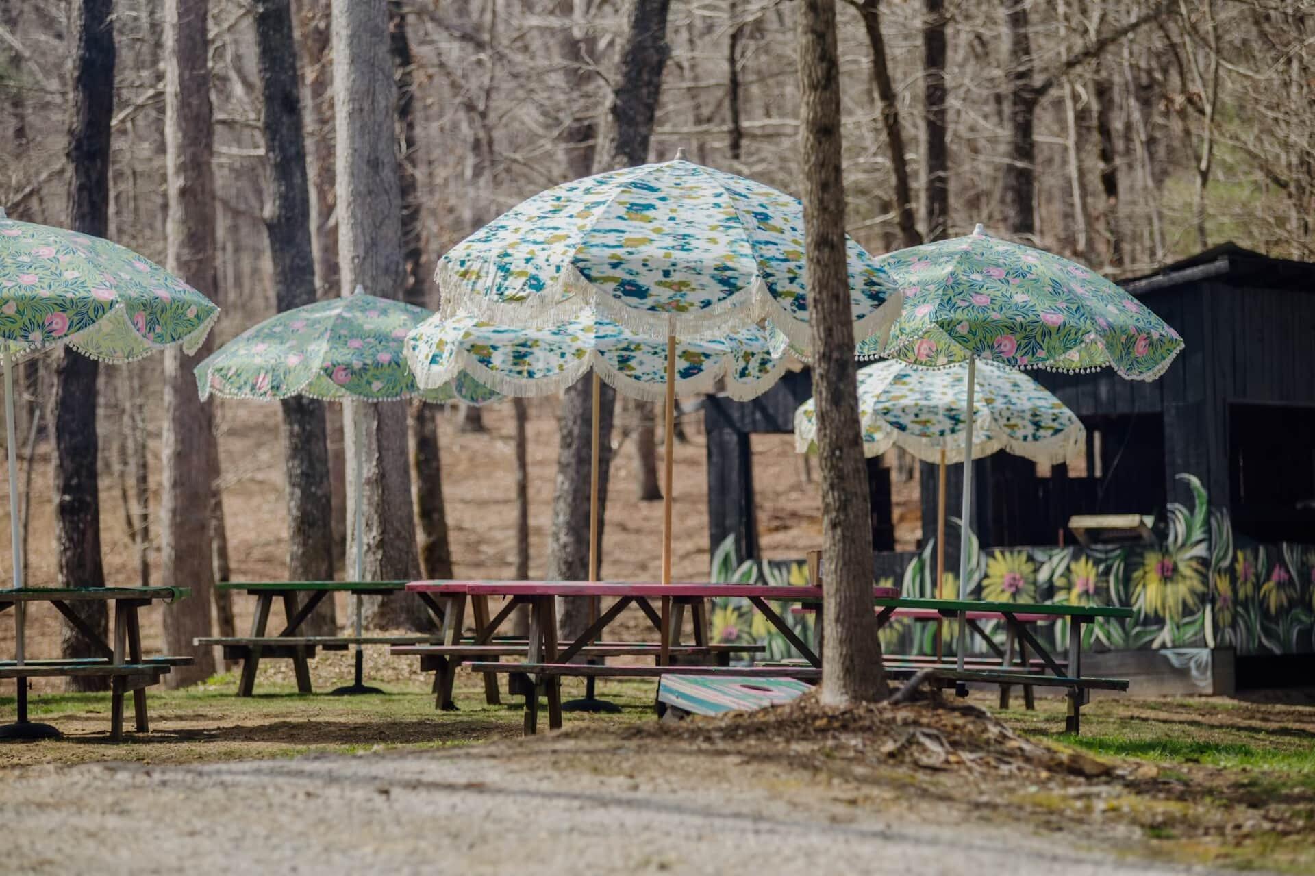 587 Lakes Road Tracy City, TN 37387 - Photo 15 of 60 10f3f487-a2c7-49b8-a047-e3226d3a324d