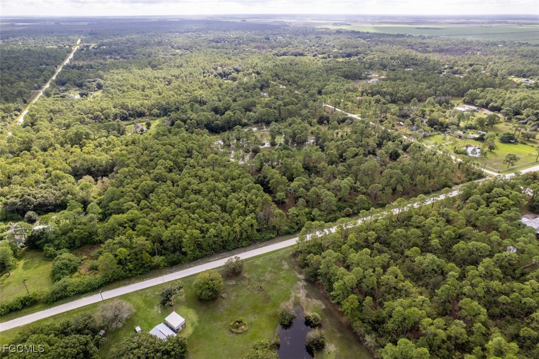 2201 Riviera Avenue Clewiston, FL 33440 - Photo 24 of 31 an aerial view of forest
