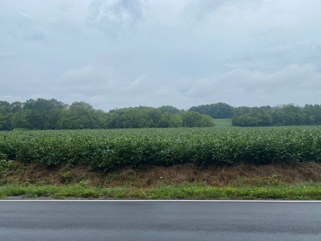 968 County Road Delano, TN 37325 - Photo 8 of 9