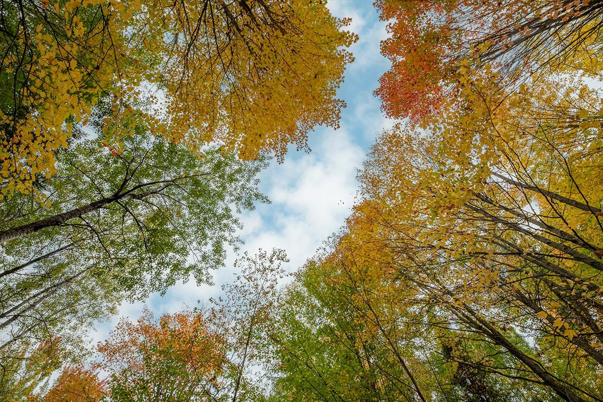 10680 Powers Dam Road Long Lake, WI 54542 - Photo 9 of 65 Gallery Image 9