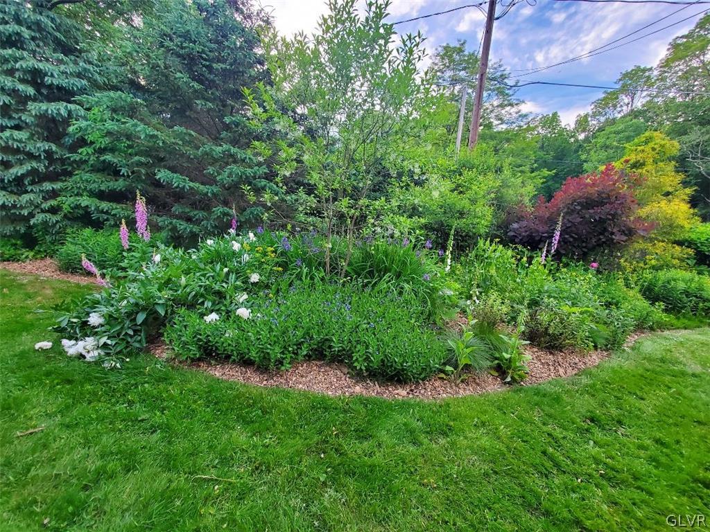 159 Monomonock Road Cresco, PA 18326 - Photo 33 of 50 a view of a backyard