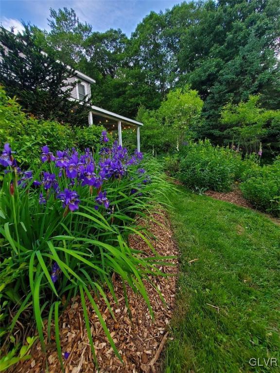 159 Monomonock Road Cresco, PA 18326 - Photo 35 of 50 a view of a flower in a garden