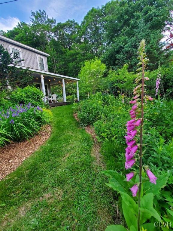 159 Monomonock Road Cresco, PA 18326 - Photo 36 of 50 a backyard of a house with lots of green space and plants