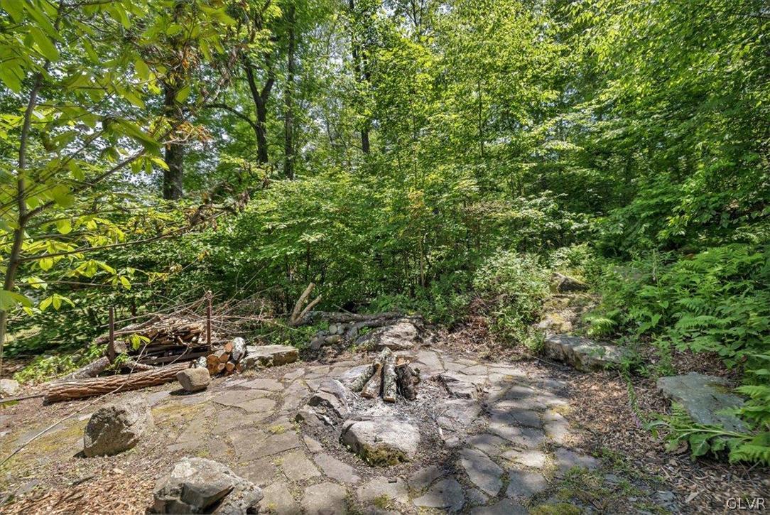 159 Monomonock Road Cresco, PA 18326 - Photo 40 of 50 a view of a forest with lots of trees