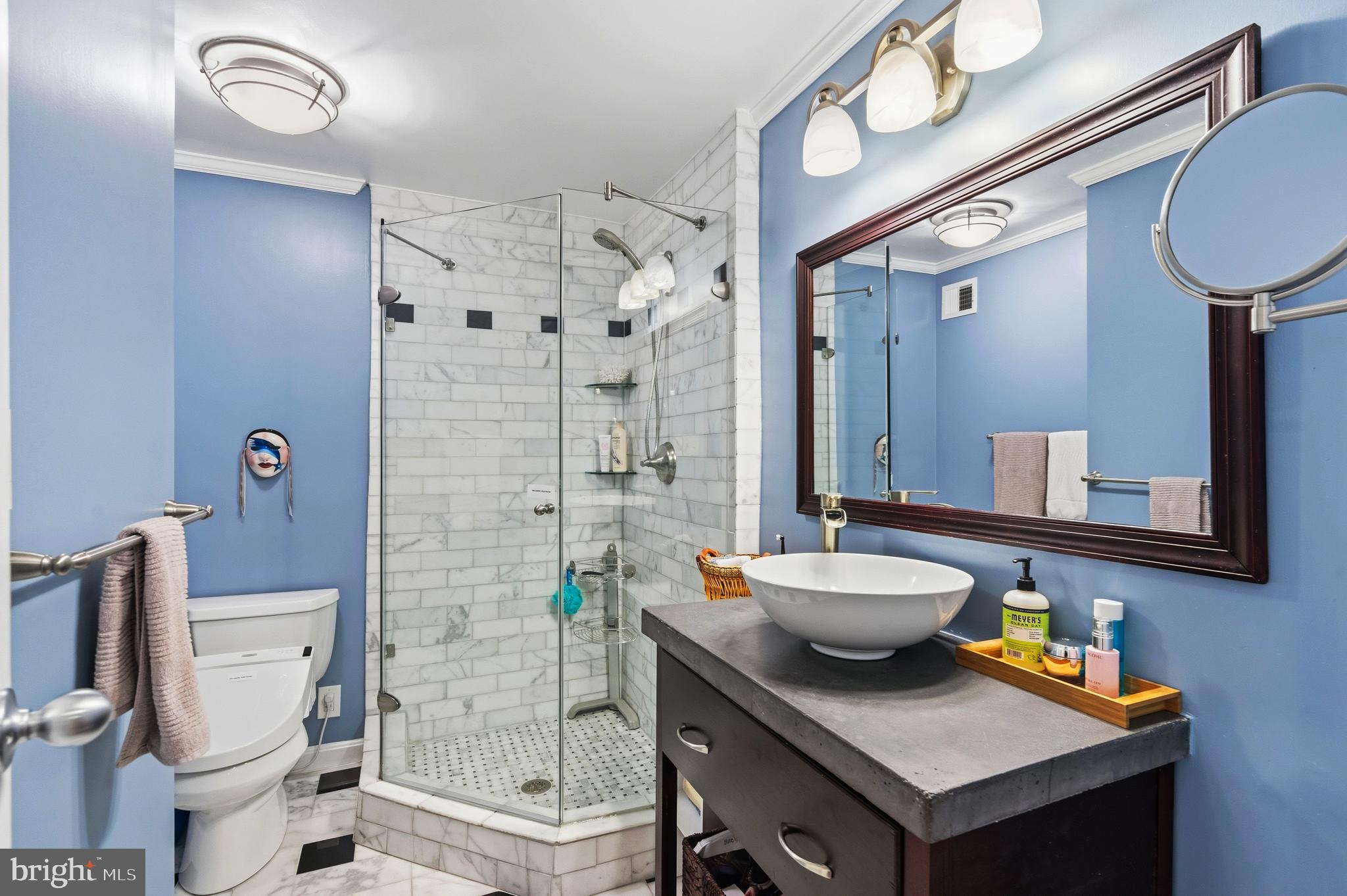 2303 Middle Creek Lane Reston, VA 20191 - Photo 27 of 48 Updated En-suite Primary Bathroom