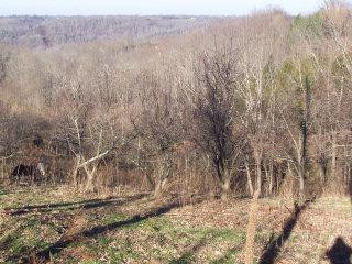 0 New Road Richmond, KY 40475 - Photo 12 of 15 Photo 12