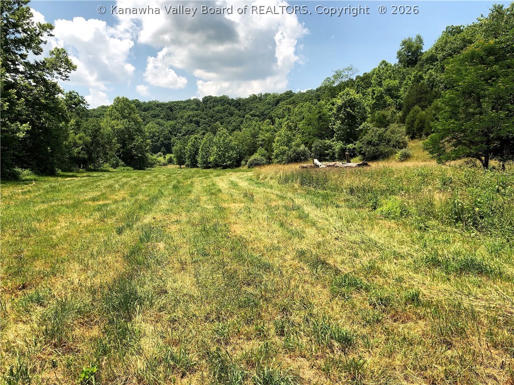 386 Spirit Road Red House, WV 25168 - Photo 23 of 30 Gallery Image 23