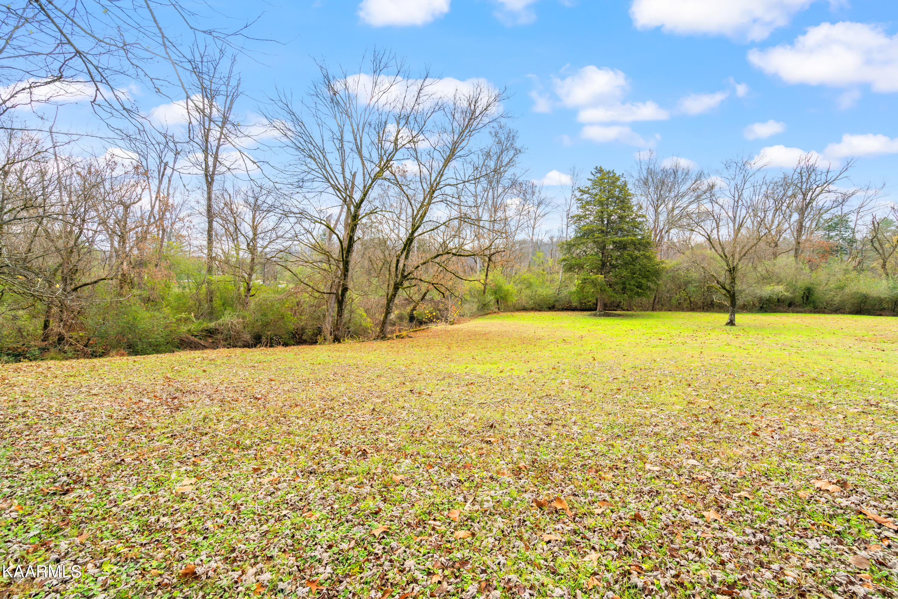 140 Grandcove Lane Oak Ridge, TN 37830 - Photo 7 of 36 140 Grandcove Lane-39