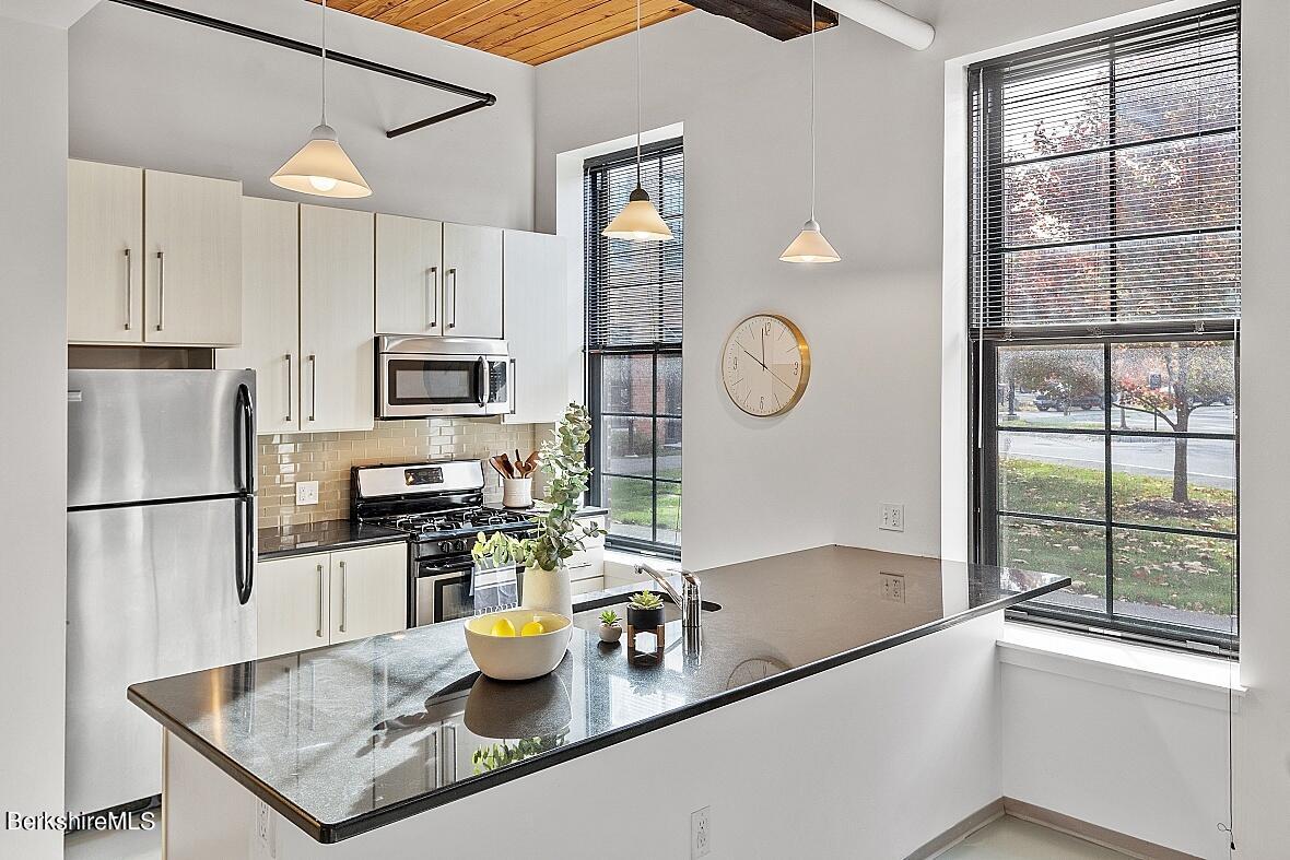 160 Water Street, Unit 23 Williamstown, MA 01267 - Photo 5 of 57 22726_0012_MLS