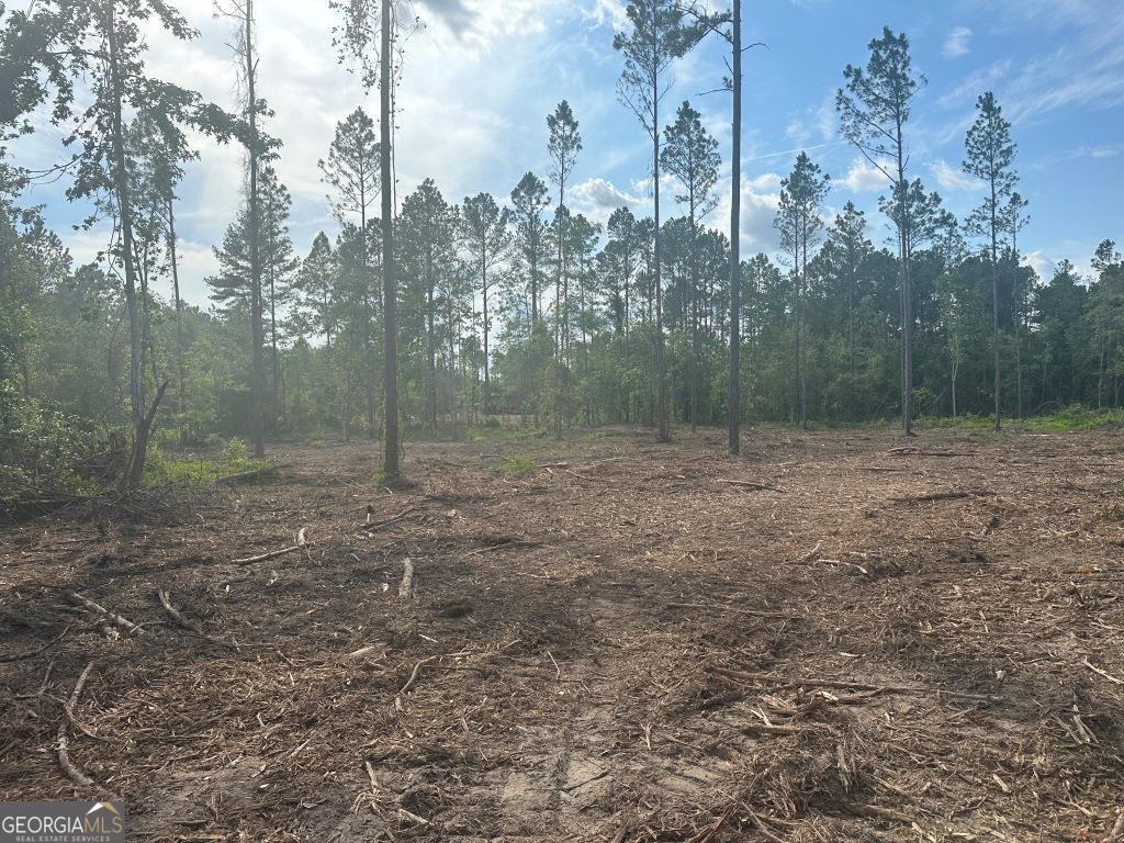 0 Dublin Bed/power Line Road, Unit LOT 4 Pembroke, GA 31321 - Photo 1 of 1 Gallery Image 1