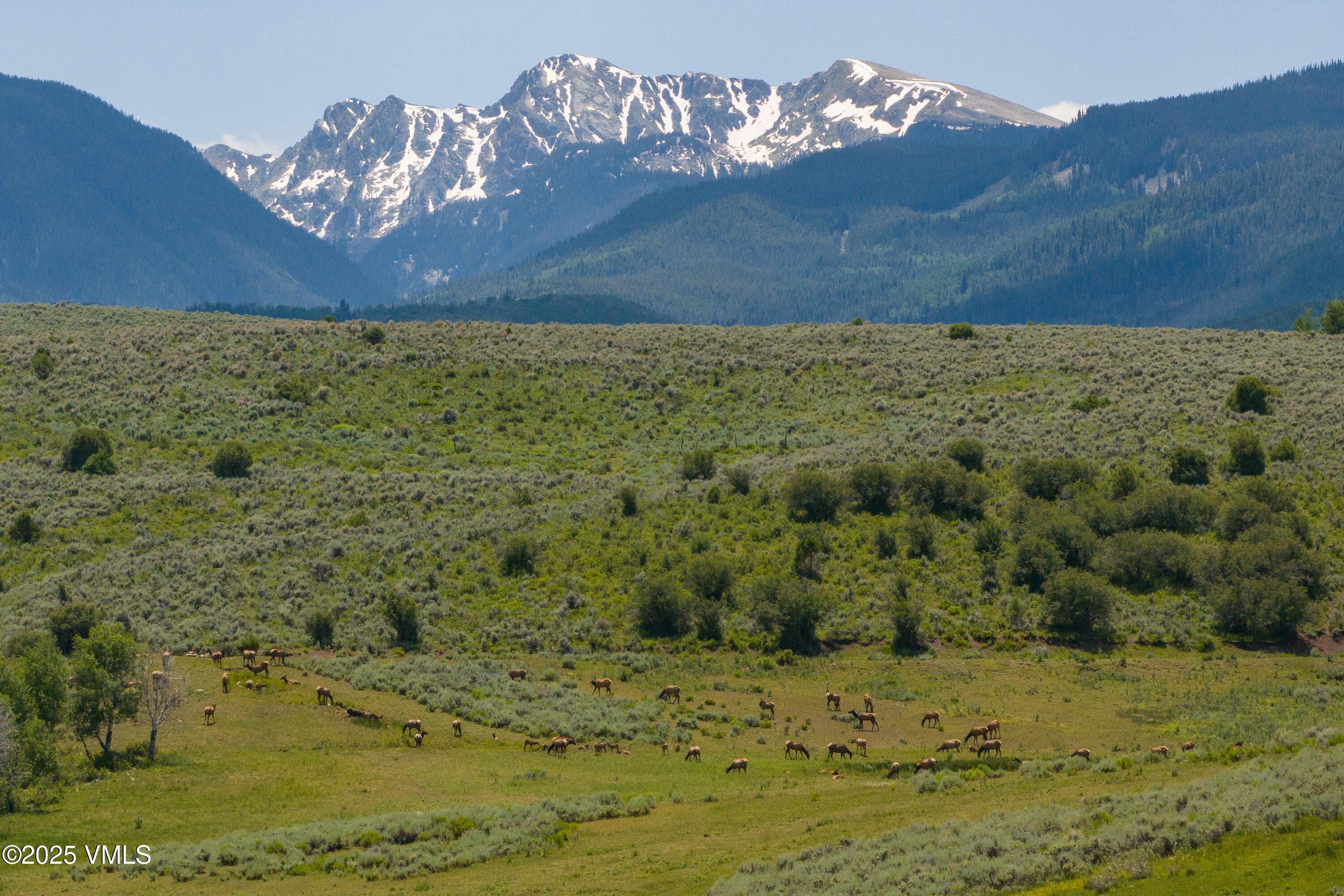 455 Old Creamery Road Edwards, CO 81632 - Photo 51 of 52 Creamery New Your and Elk