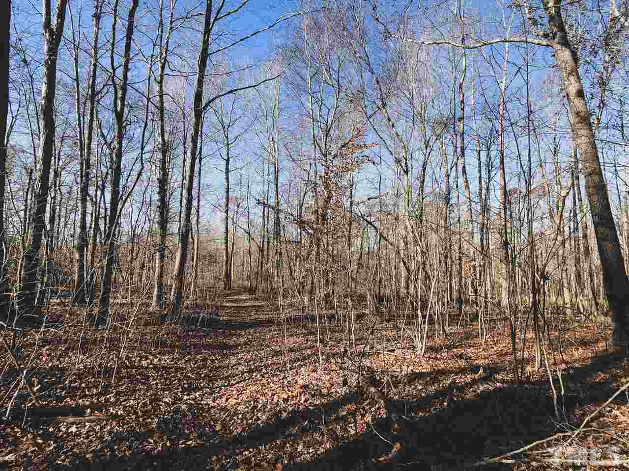 107.39-ac Russell Road Durham, NC 27712 - Photo 6 of 30