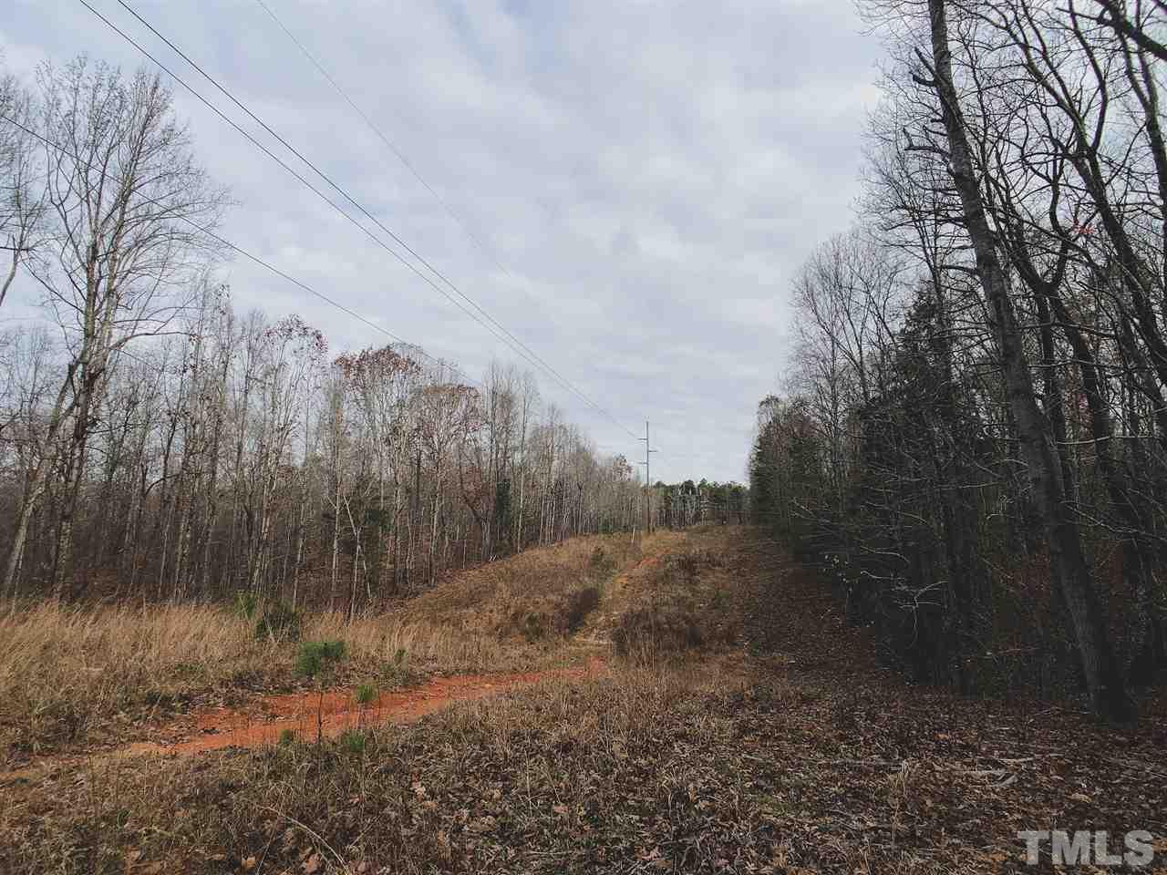 107.39-ac Russell Road Durham, NC 27712 - Photo 8 of 30
