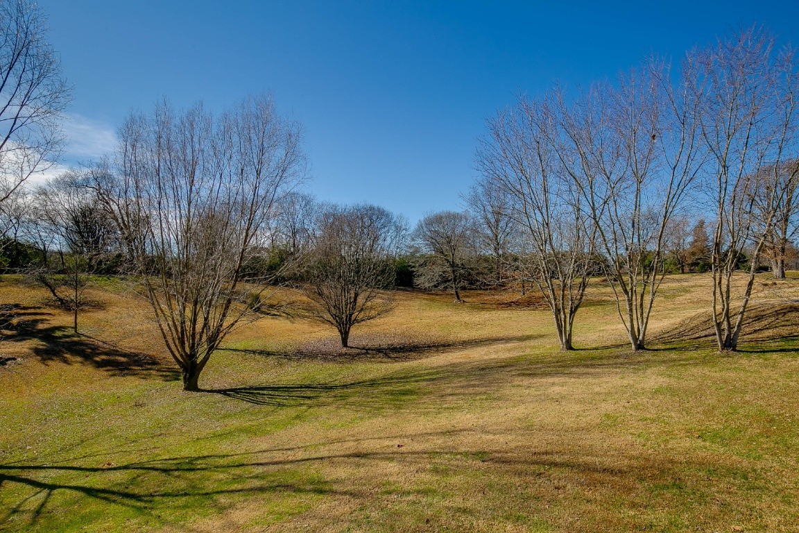 7201 Appleview Road Goodlettsville, TN 37072 - Photo 7 of 31 Gallery Image 7