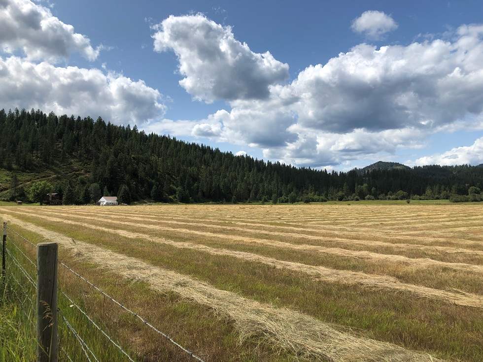 2986 C Red Marble Road Chewelah, WA 99109 - Photo 1 of 5 Gallery Image 1
