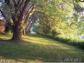 4990 Roxbury Road Stockport, OH 43787 - Photo 9 of 12 Riverbank
