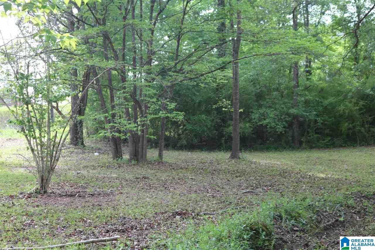329 Toadvine Cemetery Road Bessemer, AL 35023 - Photo 9 of 22