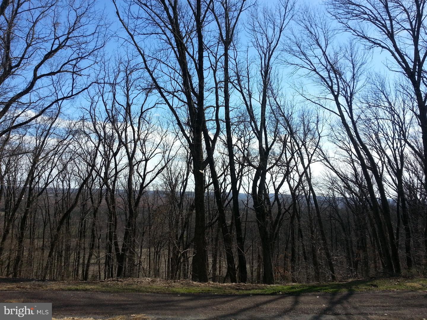 1233 Township Line Road Chalfont, PA 18914 - Photo 10 of 23 View in Back