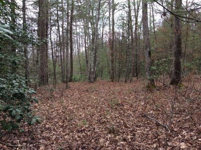 0 Shotgun Annie Road Jamestown, TN 38556 - Photo 12 of 17