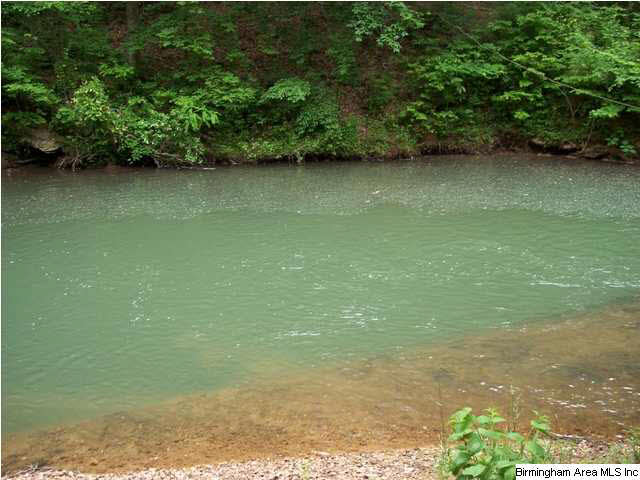Narrows Road, Unit 168 Remlap, AL 35133 - Photo 3 of 21