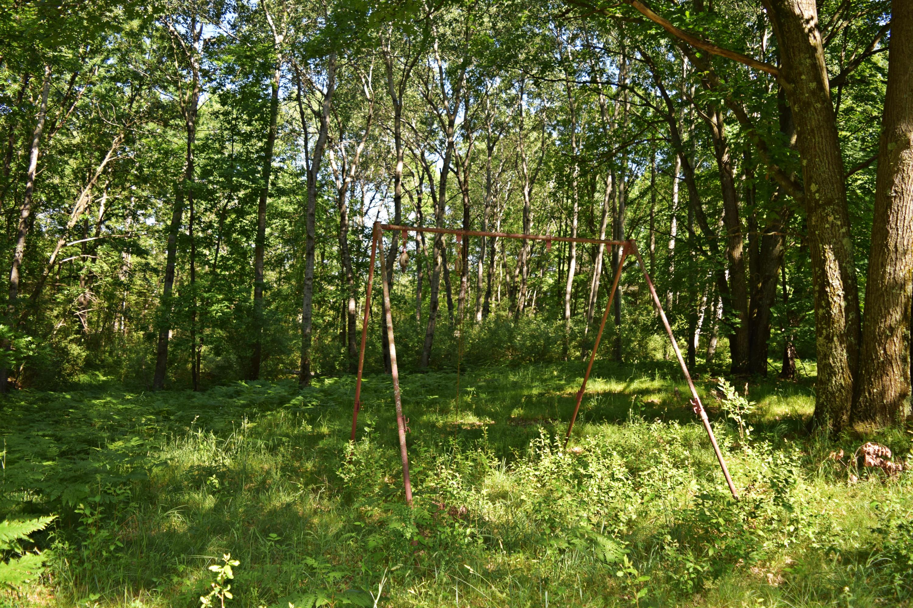 40-acres East Hawley Road Custer, MI 49405 - Photo 18 of 41 DSC_0491