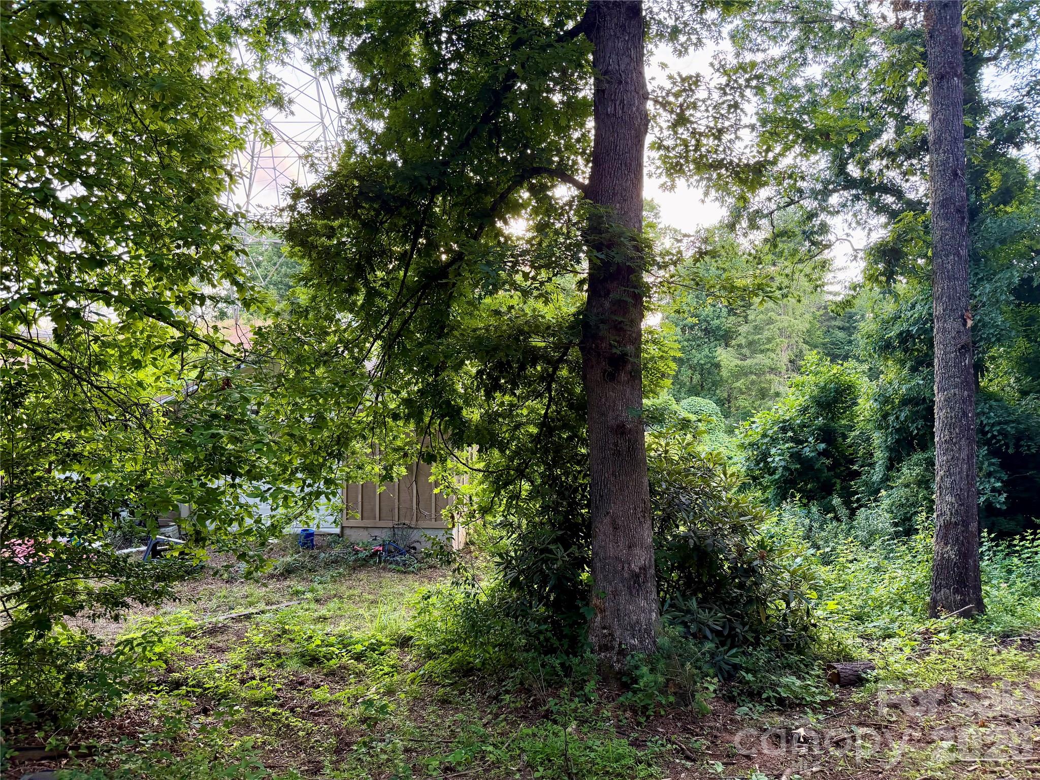 251 Cox Road Pisgah Forest, NC 28768 - Photo 7 of 15