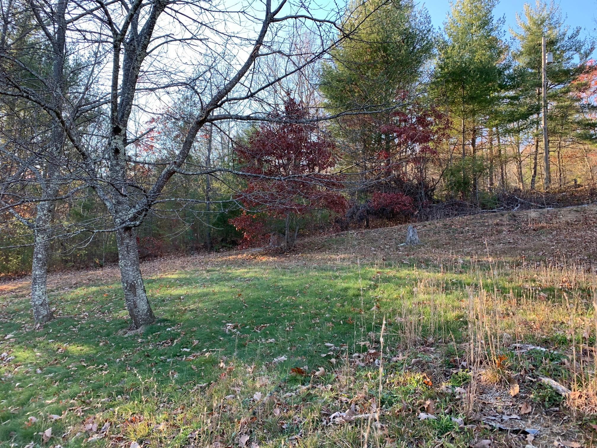 274 Highland Road Gap Mills, WV 24941 - Photo 3 of 14 Gallery Image 3