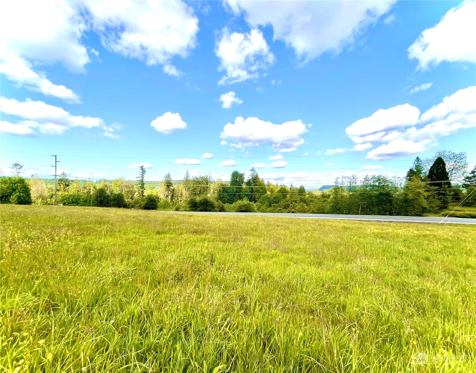 6609 Westside Highway Castle Rock, WA 98611 - Photo 2 of 8