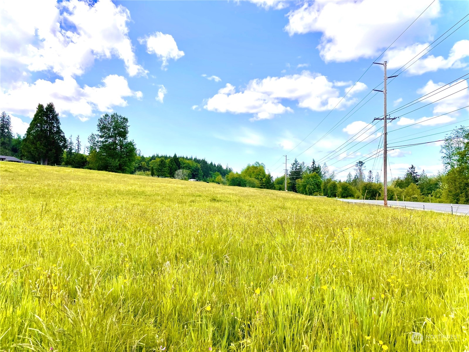 6609 Westside Highway Castle Rock, WA 98611 - Photo 3 of 8