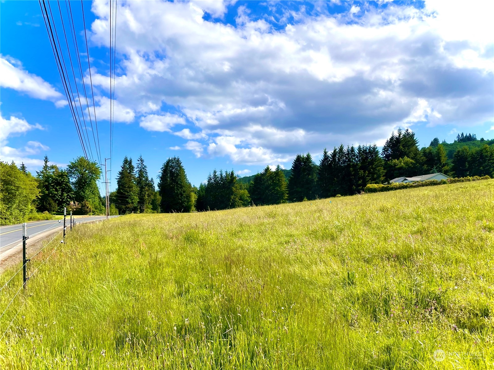 6609 Westside Highway Castle Rock, WA 98611 - Photo 4 of 8