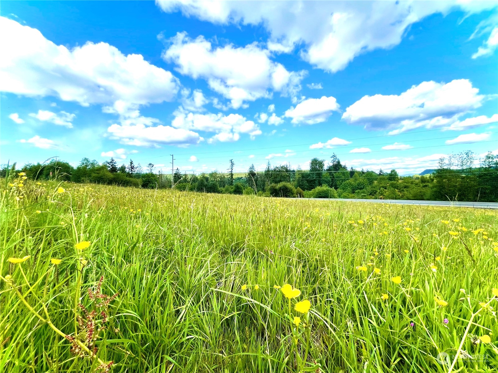 6609 Westside Highway Castle Rock, WA 98611 - Photo 5 of 8